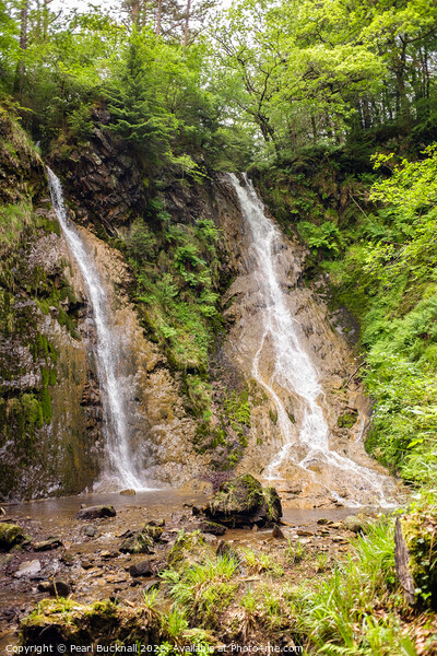 Grey Mares Tail Waterfall Llanrwst Picture Board by Pearl Bucknall