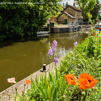 Buy canvas prints of Boulters Lock on the River Thames by Pearl Bucknall