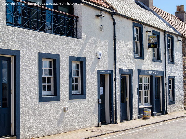 The Ship Inn at Elie Picture Board by Pearl Bucknall