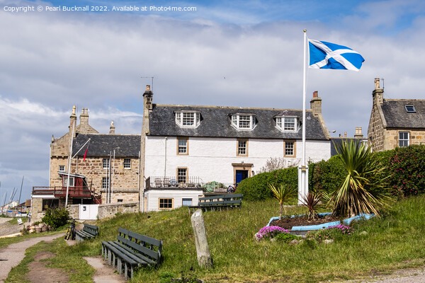 Scottish Flag in Findhorn Village Scotland Picture Board by Pearl Bucknall
