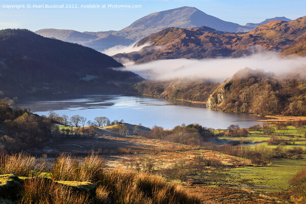 Llyn Gwynant Lake in Nant Gwynant Valley Snowdonia Picture Board by Pearl Bucknall