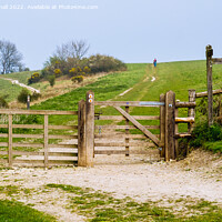 Buy canvas prints of The Way to Harting Down Sussex by Pearl Bucknall