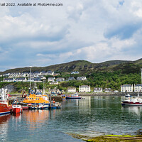Buy canvas prints of Mallaig Harbour Highland Scotland by Pearl Bucknall