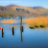 Buy canvas prints of Tranquil Derwent Water in Lake District  by Pearl Bucknall