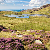 Buy canvas prints of Snowdonia Landscape in Summer Outdoors by Pearl Bucknall