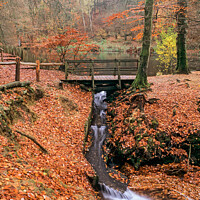 Buy canvas prints of Waggoners Wells Woodland Waterfall Hampshire by Pearl Bucknall
