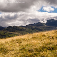 Buy canvas prints of Snowdon from Moel Eilio Mountainside in Snowdonia by Pearl Bucknall