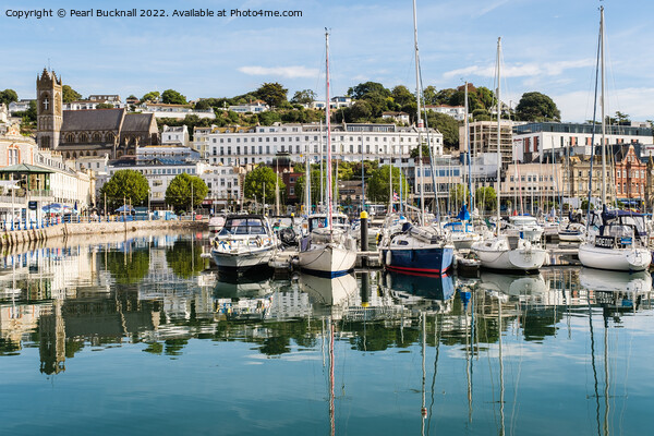 Torquay Harbour and Waterfront Devon Picture Board by Pearl Bucknall