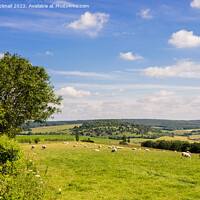Buy canvas prints of Country Scene South Downs Sussex by Pearl Bucknall