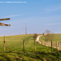 Buy canvas prints of Path to Trundle Hill Sussex Downs by Pearl Bucknall
