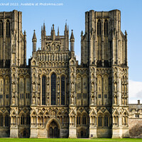 Buy canvas prints of Wells Cathedral Somerset by Pearl Bucknall