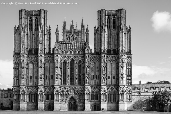 Wells Cathedral Somerset Black and White Picture Board by Pearl Bucknall