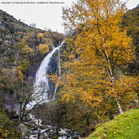 Buy canvas prints of Aber Falls Waterfall in Autumn Snowdonia by Pearl Bucknall