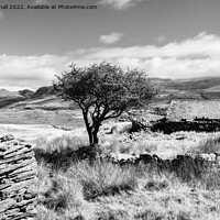 Buy canvas prints of Cwm Pennant Snowdonia Landscape Black and White by Pearl Bucknall