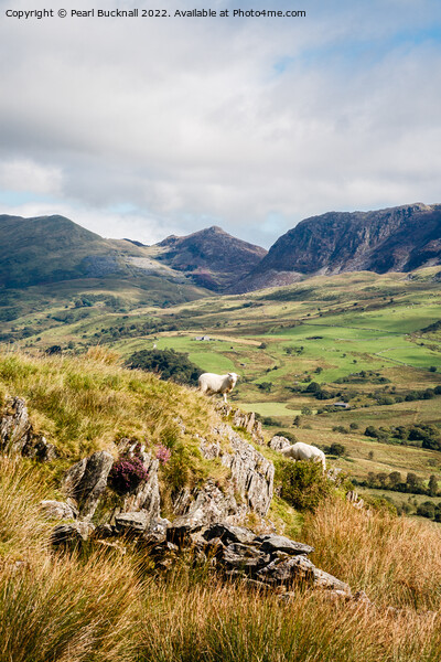 Cwm Pennant Valley Snowdonia Landscape Picture Board by Pearl Bucknall