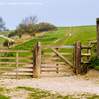 Buy canvas prints of The Way to Harting Down Sussex  by Pearl Bucknall