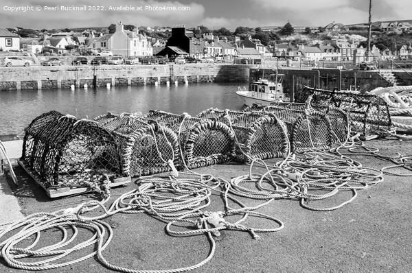 Portpatrick in Dumfries and Galloway Mono Picture Board by Pearl Bucknall