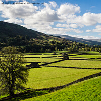 Buy canvas prints of Swaledale Countryside in Yorkshire Dales by Pearl Bucknall