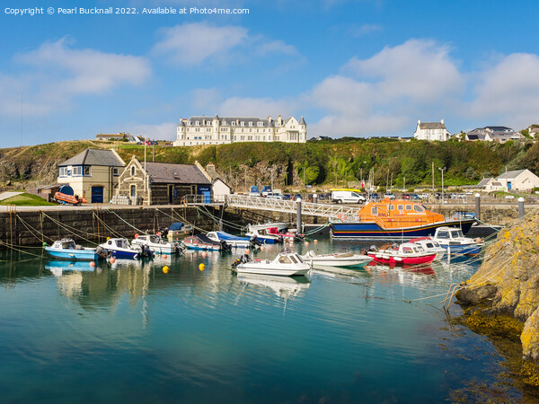 Portpatrick Harbour Dumfries and Galloway Picture Board by Pearl Bucknall