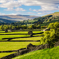 Buy canvas prints of English Countryside Swaledale Yorkshire Dales by Pearl Bucknall