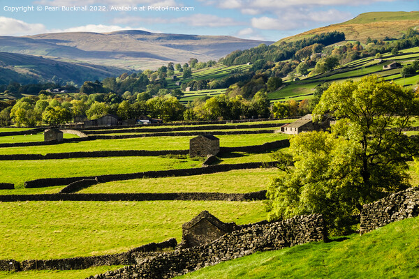 Swaledale Yorkshire Dales English Countryside Picture Board by Pearl Bucknall