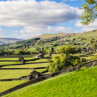 Buy canvas prints of English Landscape Swaledale Yorkshire Dales by Pearl Bucknall