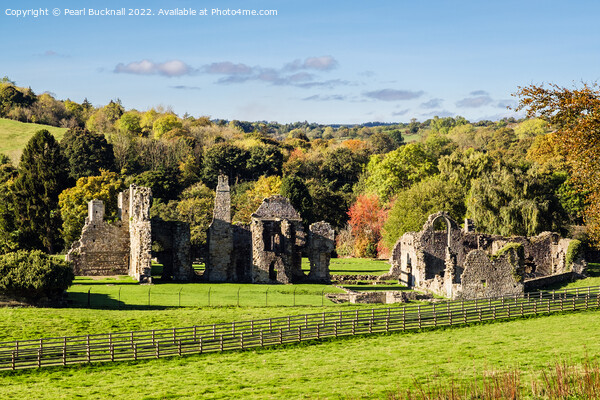 Easby Abbey Richmond North Yorkshire Picture Board by Pearl Bucknall