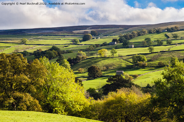 Scenic Swaledale Yorkshire Dales Picture Board by Pearl Bucknall