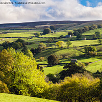 Buy canvas prints of Scenic Swaledale Yorkshire Dales by Pearl Bucknall