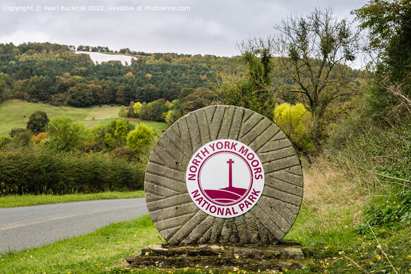 North York Moors National Park Picture Board by Pearl Bucknall