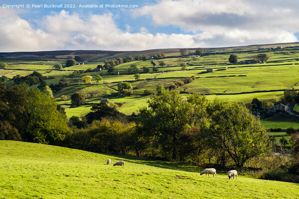 English Countryside Yorkshire Dales Picture Board by Pearl Bucknall