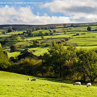Buy canvas prints of English Countryside Yorkshire Dales by Pearl Bucknall