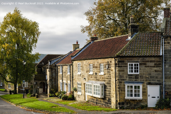 Osmotherley Village Cottages Yorkshire Picture Board by Pearl Bucknall