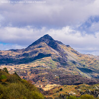 Buy canvas prints of Cnicht Mountain Snowdonia Landscape by Pearl Bucknall