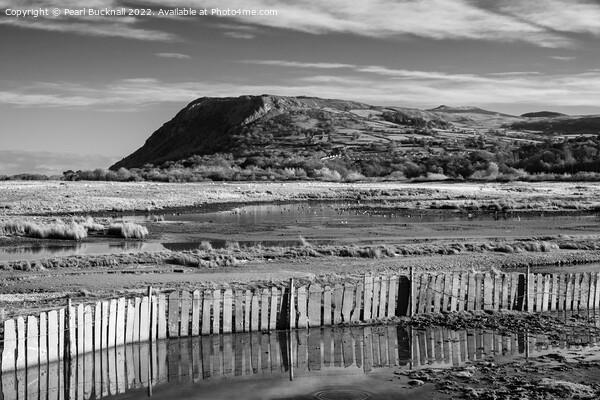 Llanfairfechan Conwy Wales Coast Black and White Picture Board by Pearl Bucknall