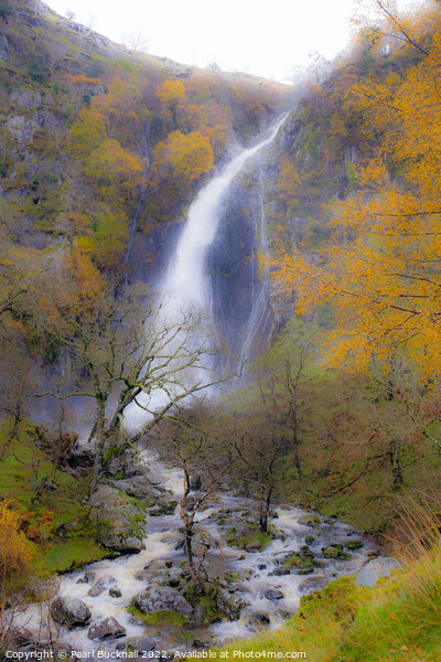 Aber Falls or Rhaeadr Fawr in Autumn Picture Board by Pearl Bucknall
