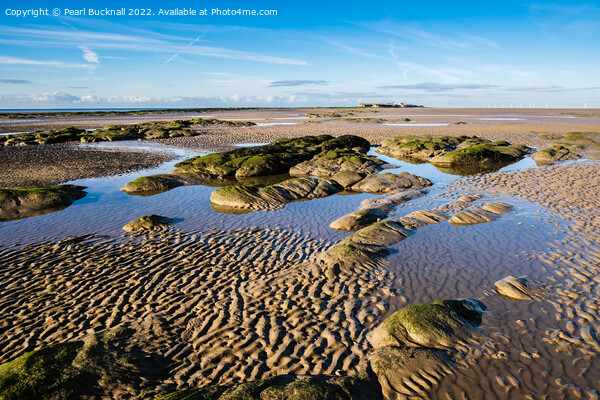 Rocks and Sand Hilbre Island in Dee Estuary Picture Board by Pearl Bucknall