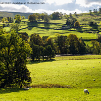 Buy canvas prints of English Countryside Swaledale Yorkshire Dales by Pearl Bucknall