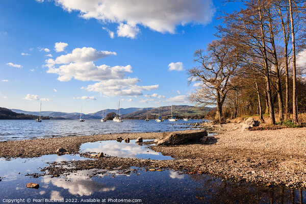 Lake Windermere Shore in Lake District  Picture Board by Pearl Bucknall