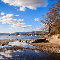 Buy canvas prints of Lake Windermere Shore in Lake District  by Pearl Bucknall