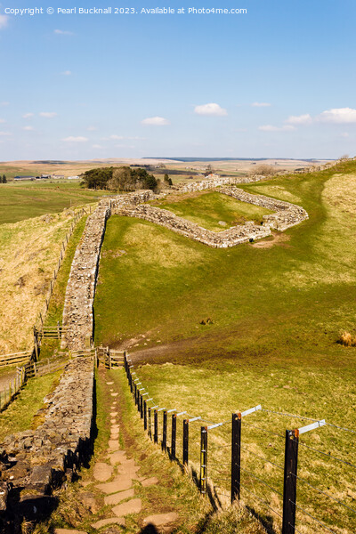 Hadrians Wall and Pennine Way Walking Trail Picture Board by Pearl Bucknall
