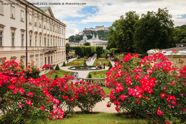 Mirabell Palace Salzburg Austria Picture Board by Pearl Bucknall