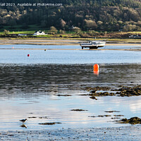 Buy canvas prints of Feeding in the Shallows Red Wharf Bay Anglesey by Pearl Bucknall