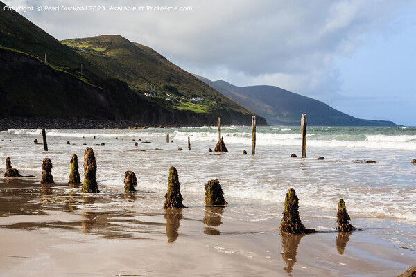Ross Strand on Ring of Kerry Ireland Canvas Print by Pearl Bucknall