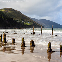 Buy canvas prints of Ross Strand on Ring of Kerry Ireland by Pearl Bucknall