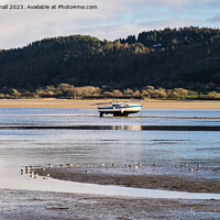Buy canvas prints of Feeding on the Tide Line Red Wharf Bay Anglesey by Pearl Bucknall