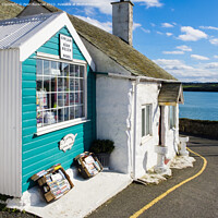 Buy canvas prints of The Wool Shop by Pearl Bucknall