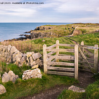 Buy canvas prints of Anglesey Coastal Path Moelfre by Pearl Bucknall