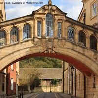 Buy canvas prints of Bridge of Sighs Oxford Architecture by Pearl Bucknall