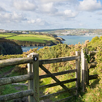 Buy canvas prints of Wales Coastal Path Pembrokeshire Coast Walk by Pearl Bucknall
